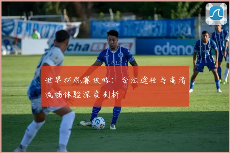 世界杯观赛攻略：合法途径与高清流畅体验深度剖析