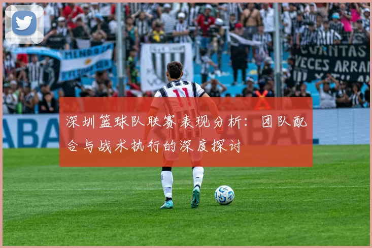 深圳篮球队联赛表现分析：团队配合与战术执行的深度探讨