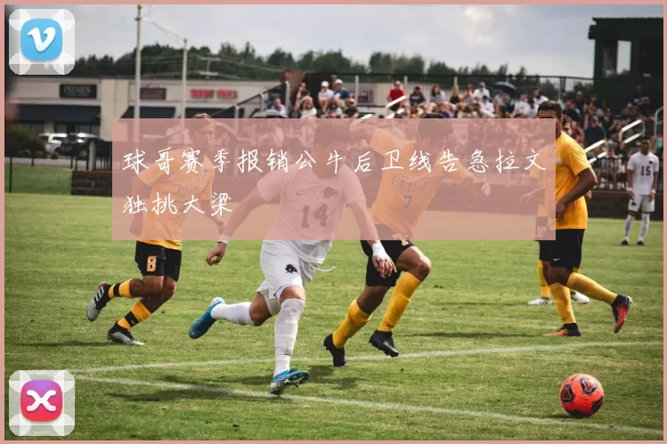 球哥赛季报销公牛后卫线告急拉文独挑大梁