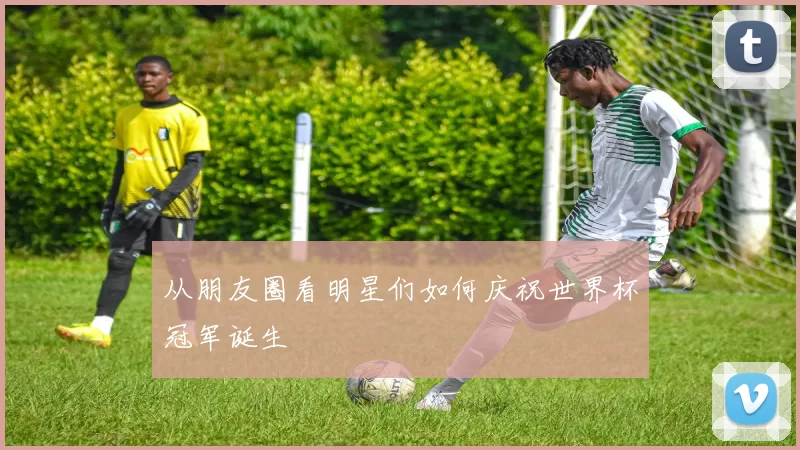 从朋友圈看明星们如何庆祝世界杯冠军诞生