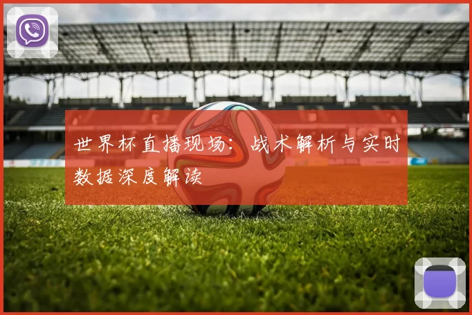 世界杯直播现场：战术解析与实时数据深度解读