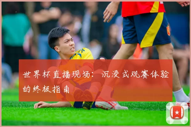 世界杯直播现场：沉浸式观赛体验的终极指南