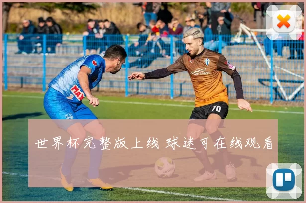 世界杯完整版上线 球迷可在线观看