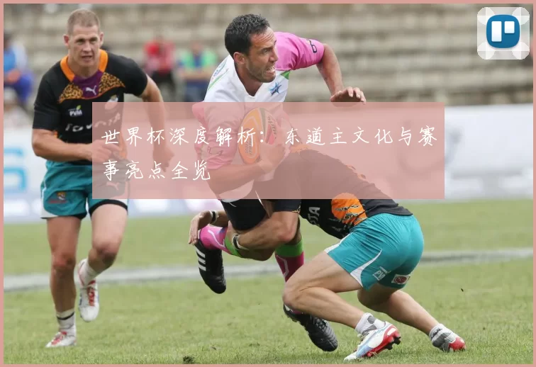 世界杯深度解析:东道主文化与赛事亮点全览