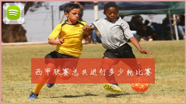 西甲联赛总共进行多少轮比赛