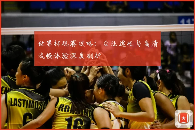 世界杯观赛攻略:合法途径与高清流畅体验深度剖析