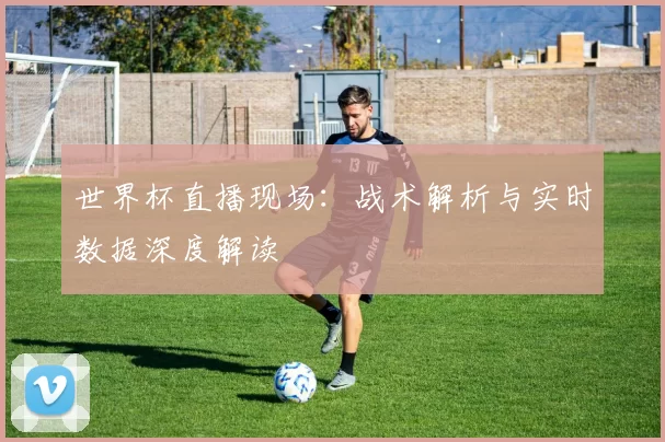 世界杯直播现场:战术解析与实时数据深度解读