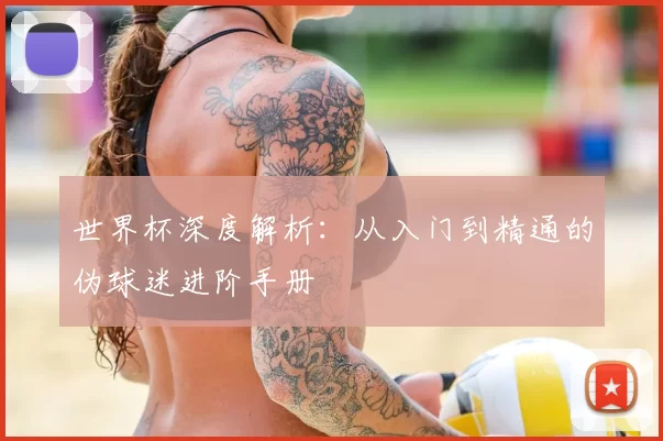 世界杯深度解析:从入门到精通的伪球迷进阶手册