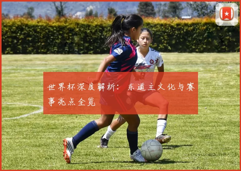 世界杯深度解析:东道主文化与赛事亮点全览